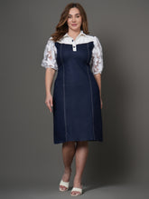 Ivory Shirt Denim Dress